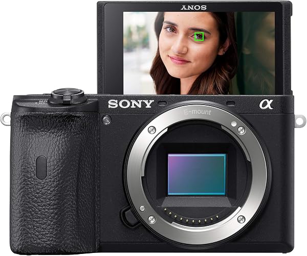 Sony Alpha A6600